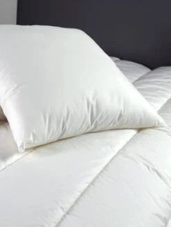 Oreiller Moelleux Coton 60x60 Cm DODO Blanc - Dodo 5 Oreiller Moelleux Coton 60x60 Cm DODO Blanc - Dodo -Literie Bébé oreiller moelleux coton 60x60 cm dodo 1