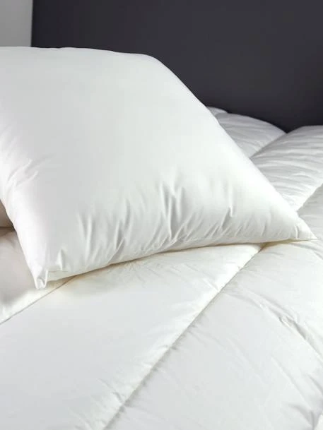 Oreiller Moelleux Coton 60x60 Cm DODO Blanc - Dodo 4 Oreiller Moelleux Coton 60x60 Cm DODO Blanc - Dodo – Image 2